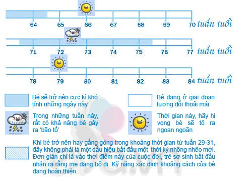 bang du doan 10 'wonder week' cua tre - 3