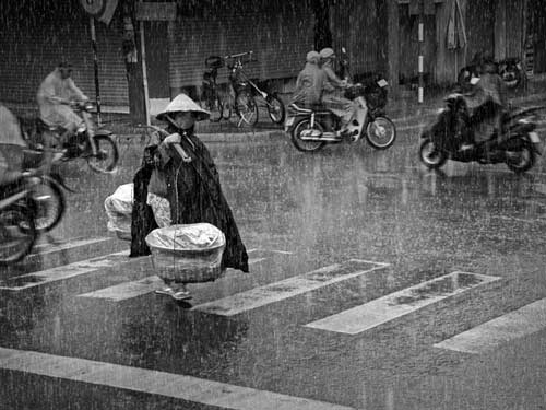 Những bức ảnh Những bức ảnh