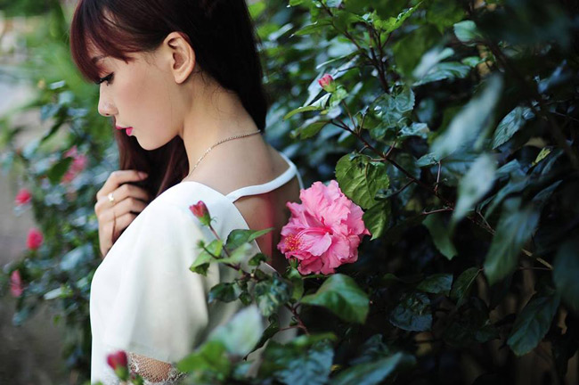 Phái nữ Hà thành đẹp ngỡ ngàng trong gió thu