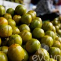 Bếp Eva - Hồng ngâm - Quà ngon của mùa thu Hà Nội