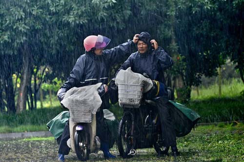 Cảm động tình yêu đôi vợ chồng đưa báo - 3