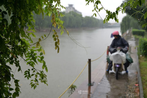 Cảm động tình yêu đôi vợ chồng đưa báo - 7