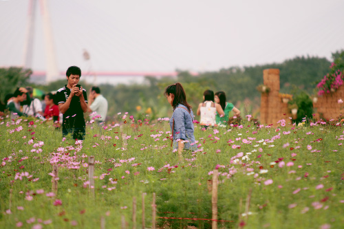 mong manh hoa canh buom khoe sac dau dong - 7