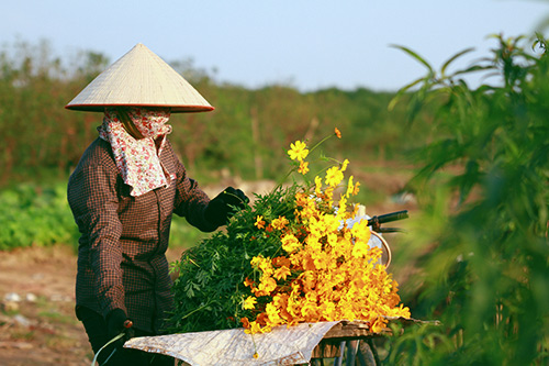 mong manh hoa canh buom khoe sac dau dong - 14