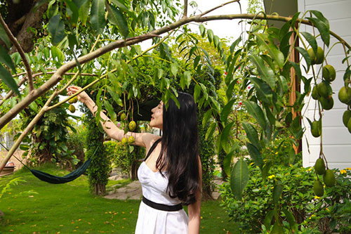 Nữ ca sĩ Việt thảnh thơi bên nhà vườn xanh mát - 2