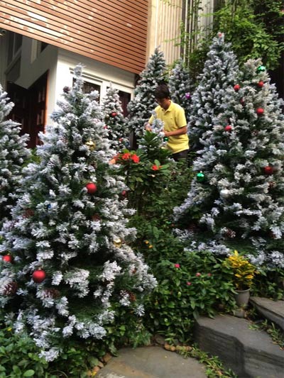 mr dam trang tri noel cho biet thu tien ty - 5