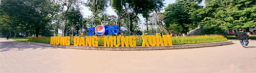 thu do ha noi ruc ro co hoa chao nam moi 2015 - 1