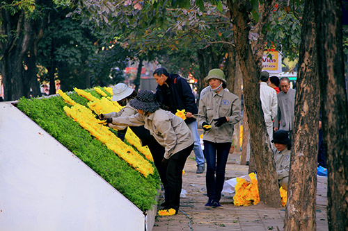 thu do ha noi ruc ro co hoa chao nam moi 2015 - 9