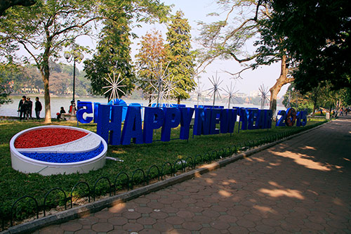 thu do ha noi ruc ro co hoa chao nam moi 2015 - 4