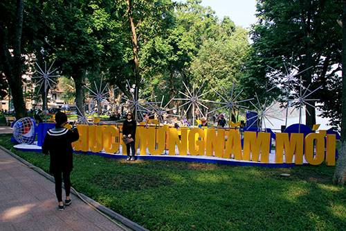 thu do ha noi ruc ro co hoa chao nam moi 2015 - 5