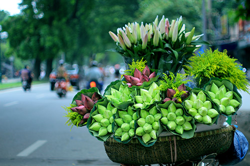 ha noi dep la qua 12 mua hoa, 12 mau sac khac nhau - 15