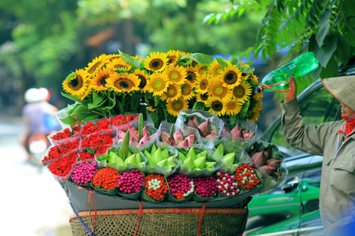 ha noi dep la qua 12 mua hoa, 12 mau sac khac nhau - 16
