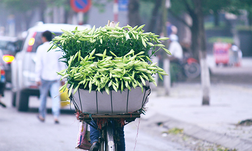 ha noi dep la qua 12 mua hoa, 12 mau sac khac nhau - 9