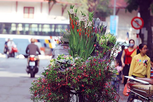 ha noi dep la qua 12 mua hoa, 12 mau sac khac nhau - 2