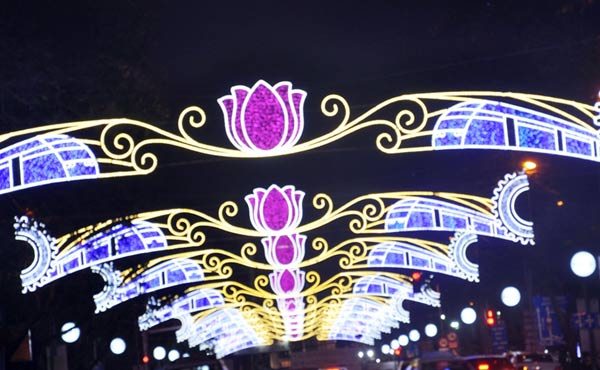 tp.hcm “kinh do anh sang” chao nam moi 2015 - 12