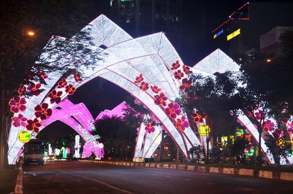 tp.hcm “kinh do anh sang” chao nam moi 2015 - 10