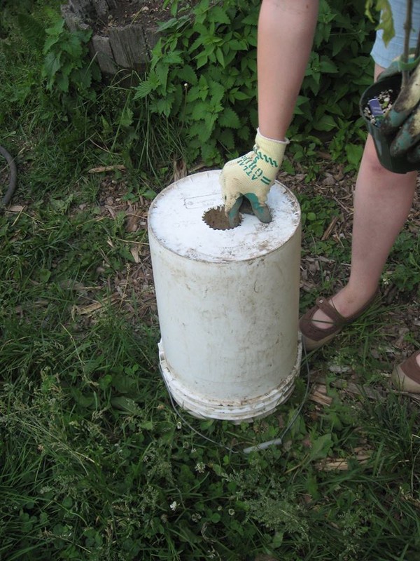 nha nho trong ca chua treo nguoc cho trai sai luc liu - 3