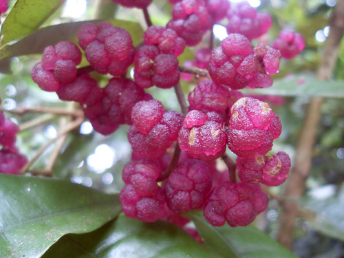 Hình ảnh có liên quan