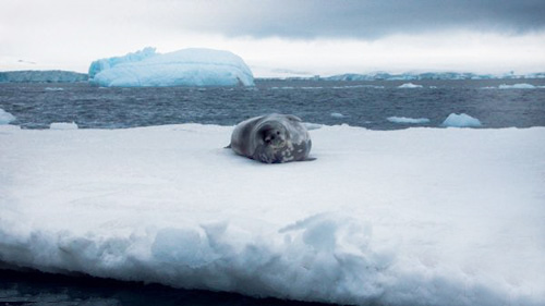 Ngồi nơi siêu nóng ngắm nơi cực rét - 6