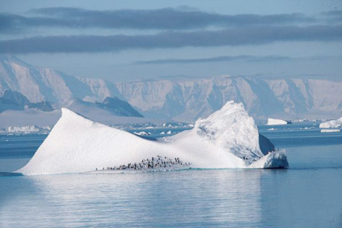 Ngồi nơi siêu nóng ngắm nơi cực rét - 7