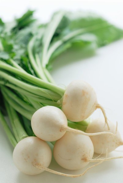 Củ cải giã nát chữa nhiệt miệng - 1