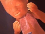 Thai nhi 19 tuần tuổi: Nếu là bé gái, tử cung, ống dẫn trứng bắt đầu phát triển