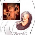 Thai nhi 18 tuần: Những cú máy thai