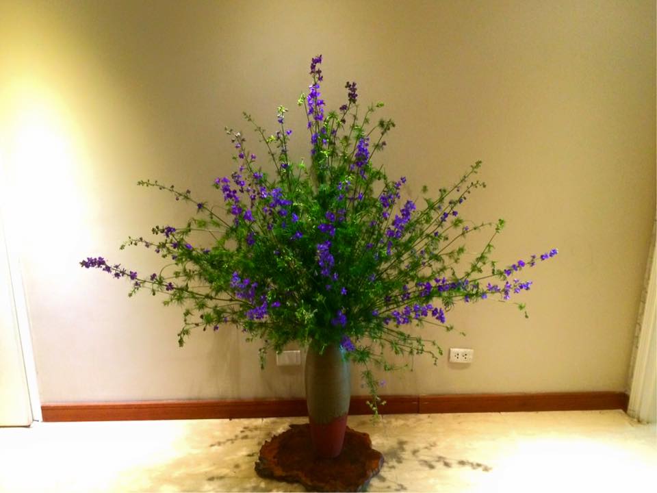 Hoa violet mang lại cho chúng ta cảm giác thư thái và yên bình, với những sắc tím thanh lịch và mùi thơm nhẹ nhàng. Khám phá sự đa dạng của loại hoa này và cảm nhận tình yêu thiên nhiên dành cho chúng ta.