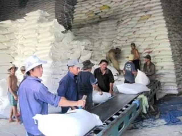 Giá gạo Việt Nam bằng gạo Thái Lan