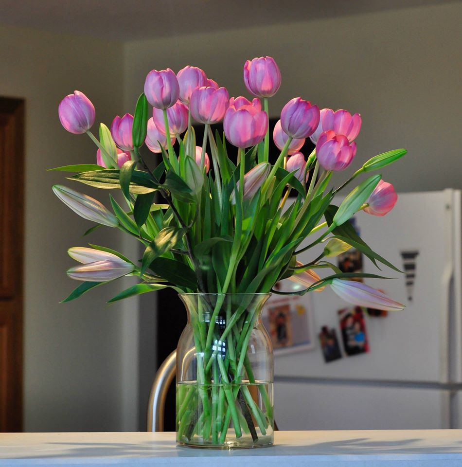 Mê mẩn tài cắm hoa Tulip của mẹ bầu Việt ở Mỹ