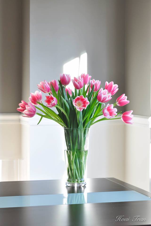 Mê mẩn tài cắm hoa Tulip của mẹ bầu Việt ở Mỹ