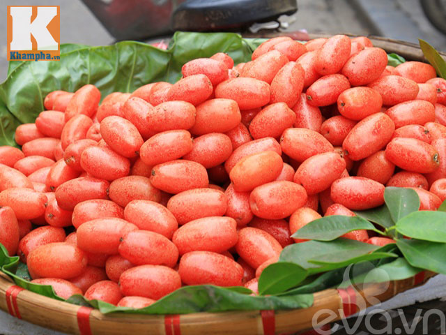 Đến mùa, thật phí nếu không làm nhót chấm chẳm chéo tuyệt ngon, nói thôi đã thèm chảy nước miếng