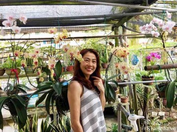 Đã mắt với vườn hoa lan hồ điệp ngập sắc của mẹ Việt ở trời Tây