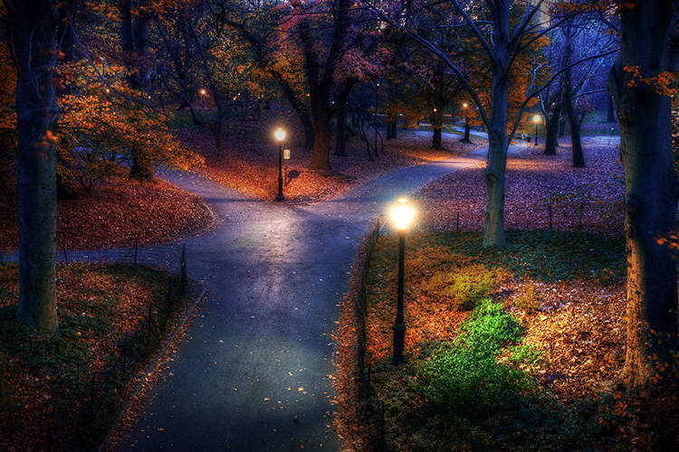 Một con đường nhỏ trong công viên Central Park, New York, Mỹ.
