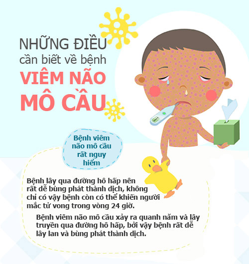 Infographic: Những điều cần biết về viêm màng não mô cầu