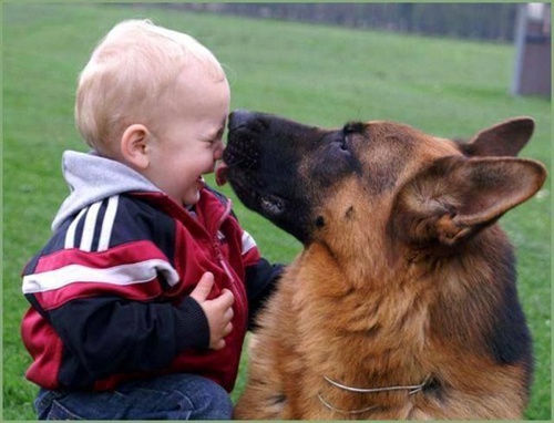 Mặc kệ tất cả chỉ cần có một chú chó ở bên cuộc sống của trẻ sẽ đầy ắp tiếng cười