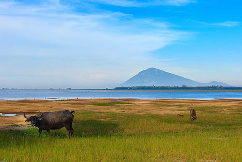 Núi Bà Đen, Hồ Dầu Tiếng: Xách Ba Lô Đi Ngay Tây Ninh, Vừa Gần Vừa Đẹp