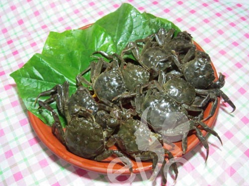 Rạm rim lá lốt ngon cơm