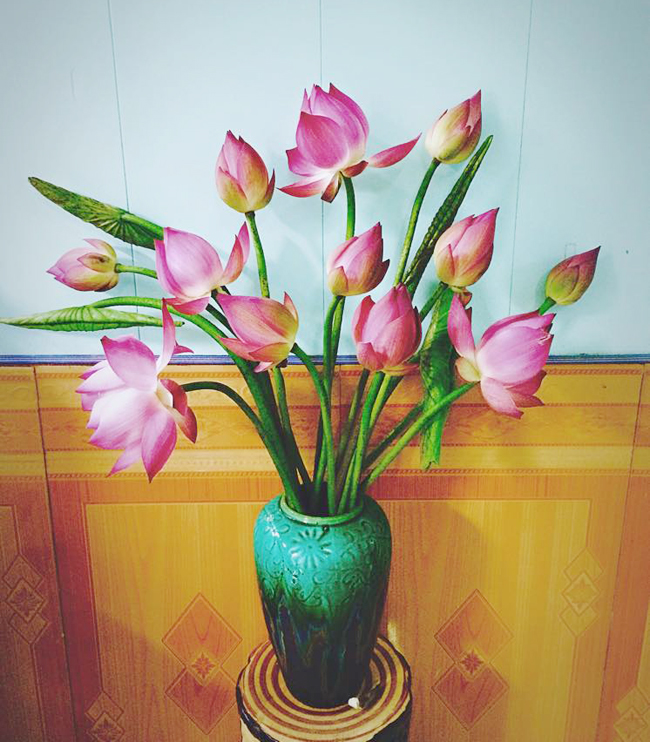 Cắm hoa sen: Khám phá cách cắm hoa sen độc đáo và tinh tế để tạo nên những bó hoa thật đẹp mắt. Bạn sẽ được trải nghiệm làm thủ công và truyền cảm hứng cho người thân và bạn bè thông qua những tác phẩm độc đáo của mình.