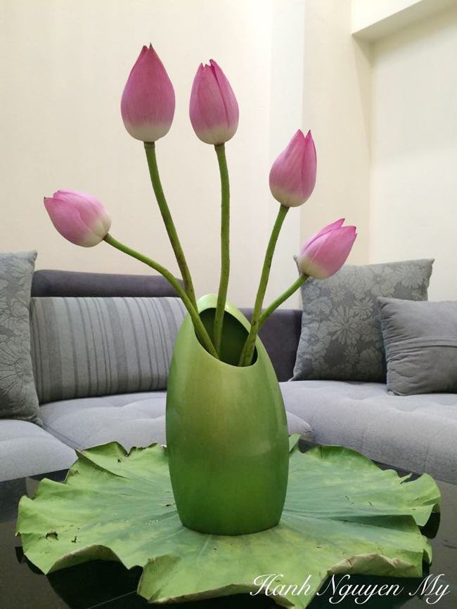 Cắm hoa sen là một trong những cách để trang trí cho ngôi nhà trở nên ấm áp hơn. Hãy xem hình ảnh các bó hoa sen đẹp mắt và cảm nhận sự độc đáo và tinh tế trong từng cánh hoa này.