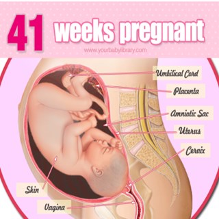 Thai nhi 41 tuần