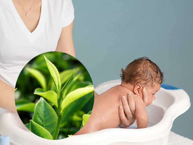 Thực hư về thói quen tắm lá cho trẻ sơ sinh