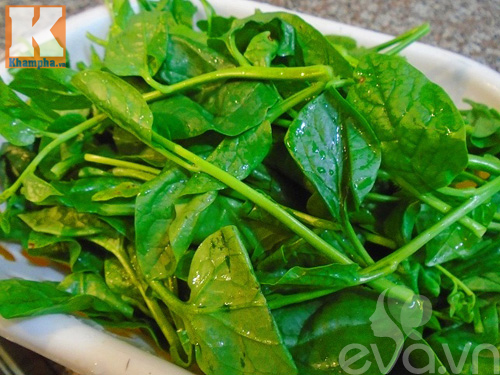 canh cua mong toi thanh mat ngay he - 4