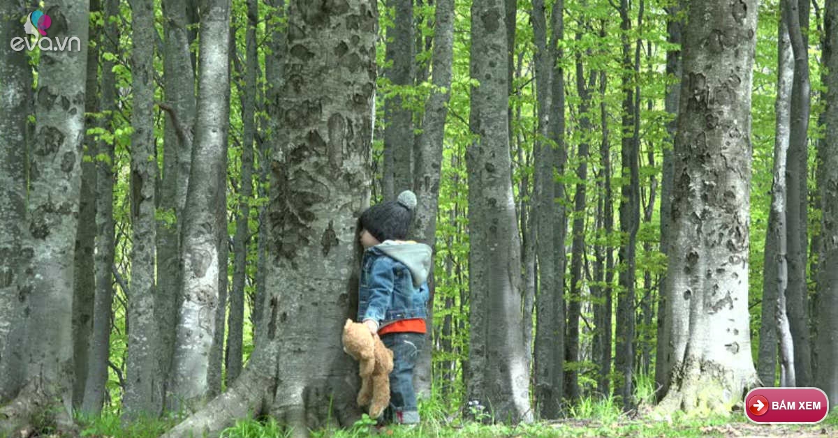 Next to the tree
