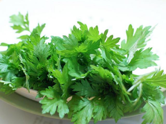 Tác dụng phụ đáng sợ của rau ngải cứu rất nhiều người chưa biết