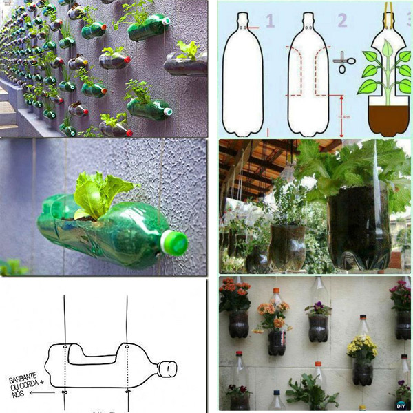 Discarded plastic bottles have all kinds of magical uses in the garden - 7
