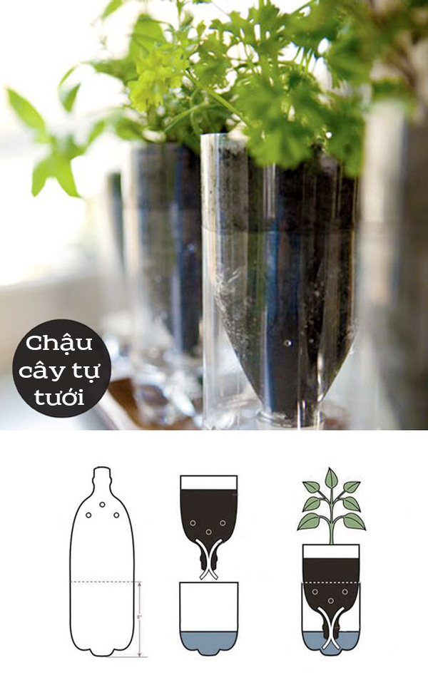 Discarded plastic bottles have all kinds of magical uses in the garden - 1