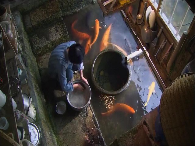 Người Nhật khiến cả thế giới thán phục vì rửa bát, rửa rau ngay ở kênh nuôi cá