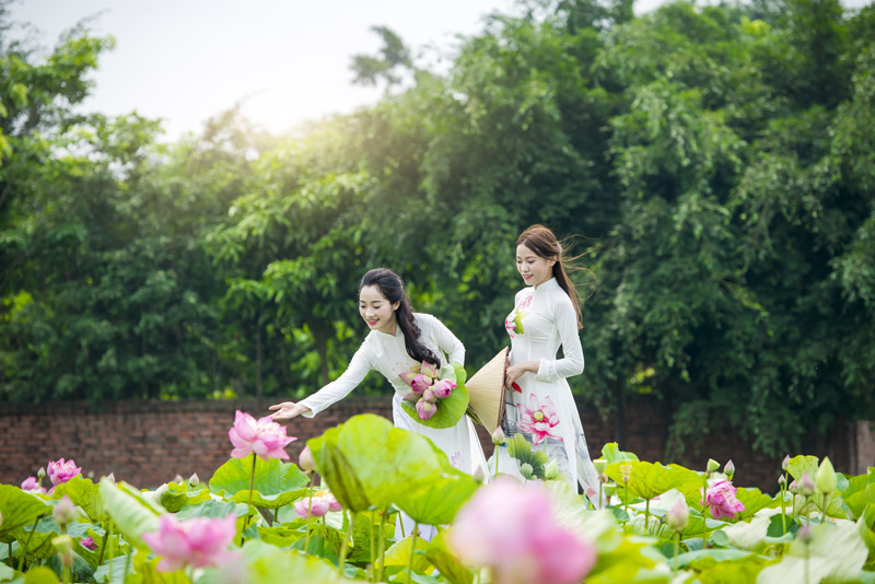 Trải nghiệm vẻ đẹp tuyệt vời của áo dài, áo yếm và sắc hoa sen trong vườn hoa đẹp như tranh. Hình ảnh này sẽ khiến bạn đắm chìm trong cảm giác giản đơn và thanh lịch của phụ nữ Việt Nam, cùng với sức hút và sự tươi mới của hoa sen.
