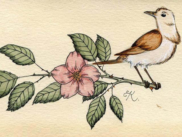 Những chú chim sơn ca cực kì đáng yêu dành cho mọi người | Hướng dẫn | Ink